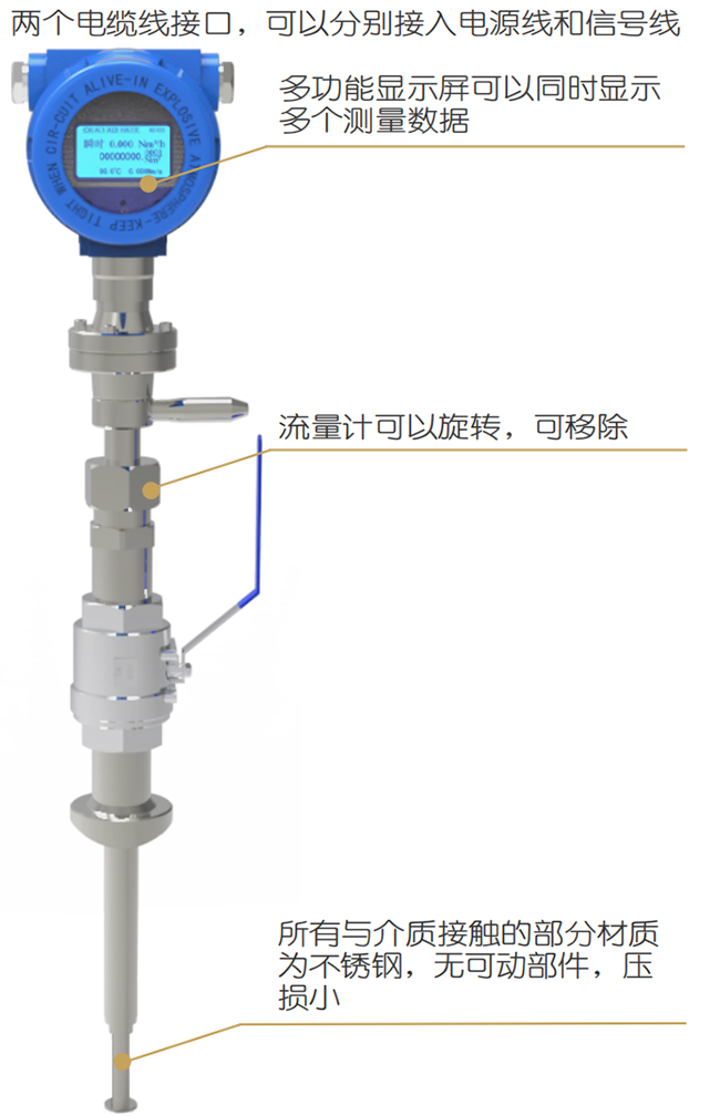 DN200熱式氣體質(zhì)量流量計(jì)結(jié)構(gòu)圖